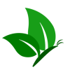 wellnesswithsandhya icon wellnesswithsandhya icon